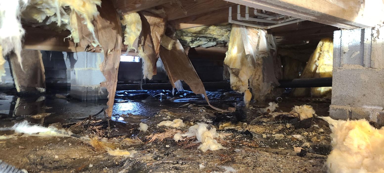 Lightspeed Restoration of Alexandria and Fairfax - Alexandria, VA