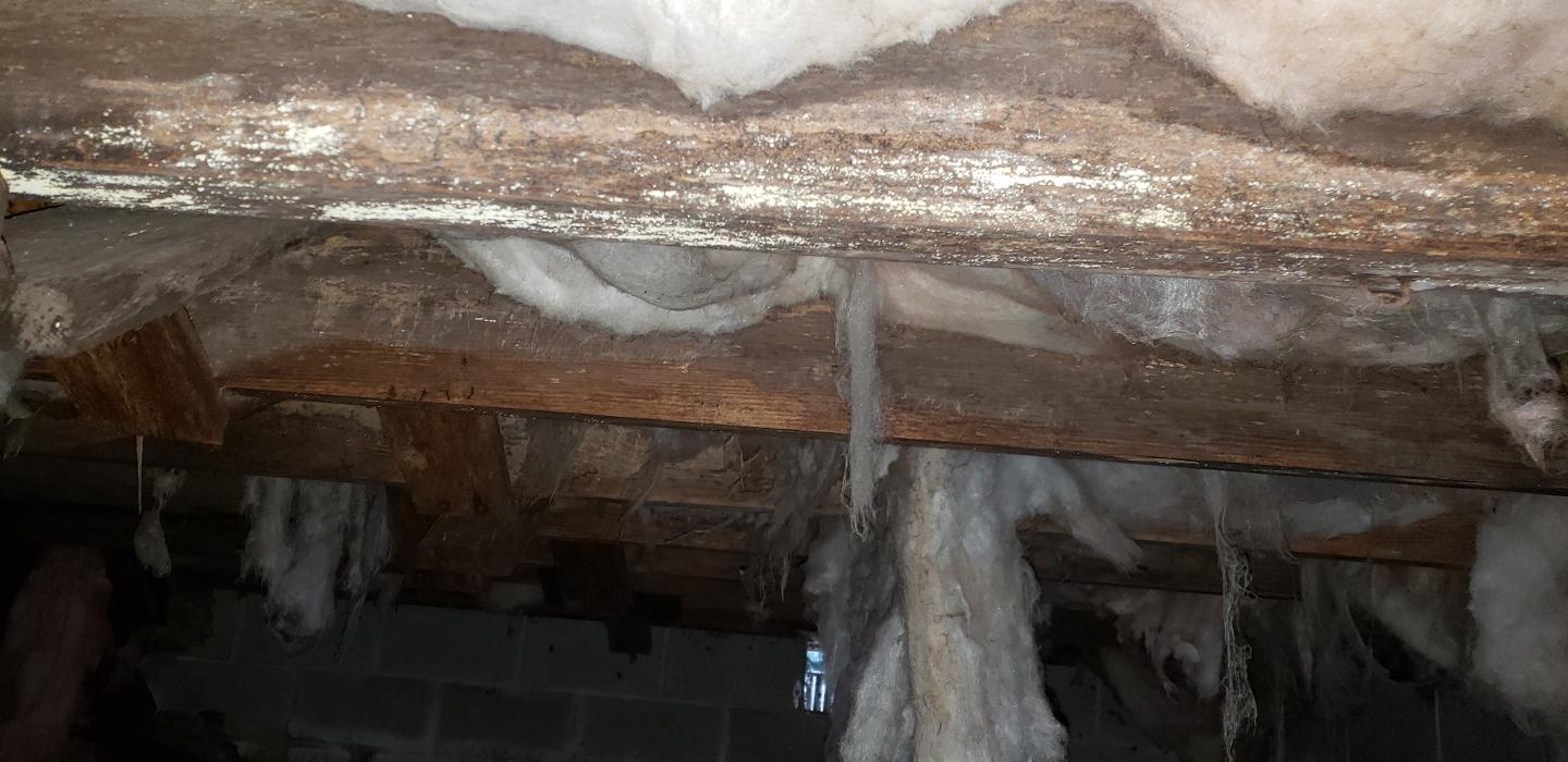 Lightspeed Restoration of Alexandria and Fairfax - Alexandria, VA