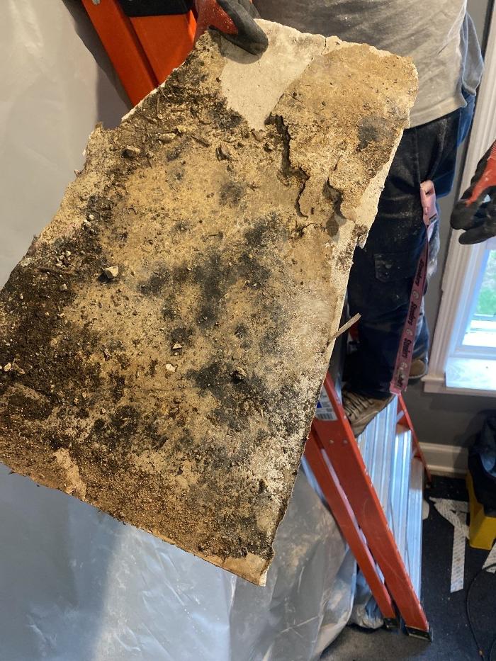 Lightspeed Restoration of Alexandria and Fairfax - Alexandria, VA