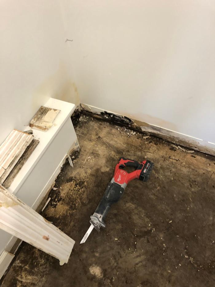 Lightspeed Restoration of Alexandria and Fairfax - Alexandria, VA