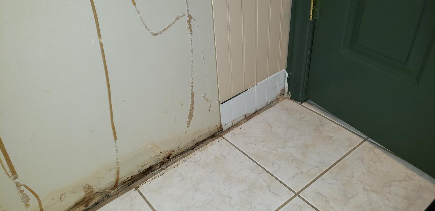 Lightspeed Restoration of Alexandria and Fairfax - Alexandria, VA