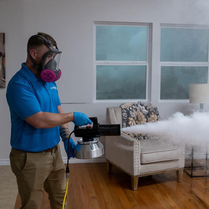 Lightspeed Restoration of Alexandria and Fairfax - Alexandria, VA