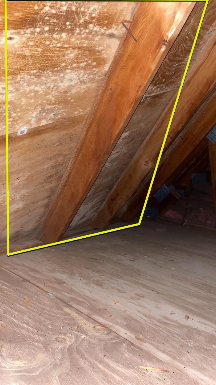 Lightspeed Restoration of Alexandria and Fairfax - Alexandria, VA