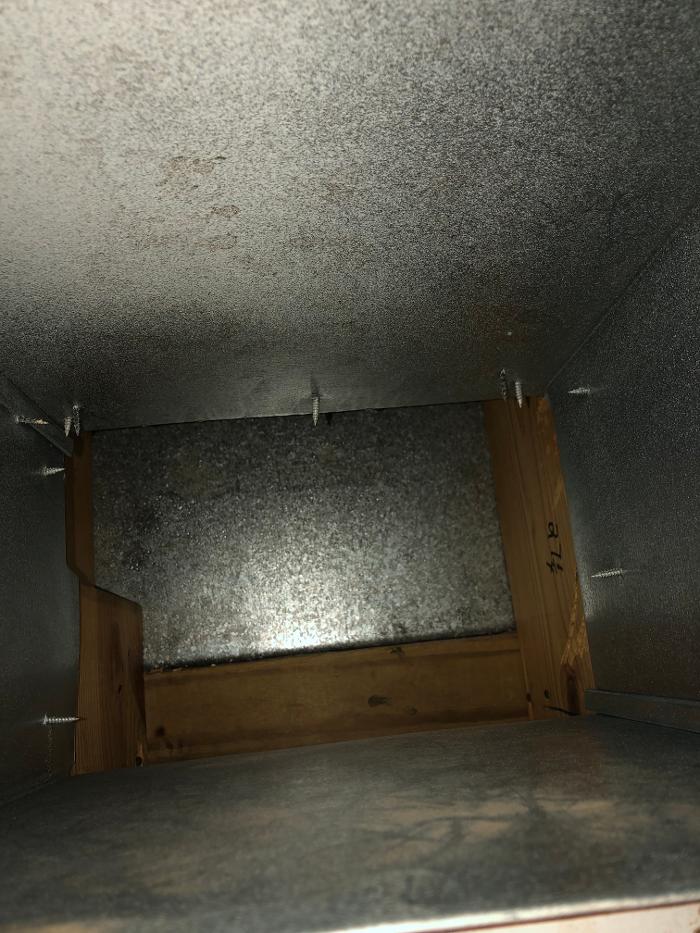 Lightspeed Restoration of Alexandria and Fairfax - Alexandria, VA