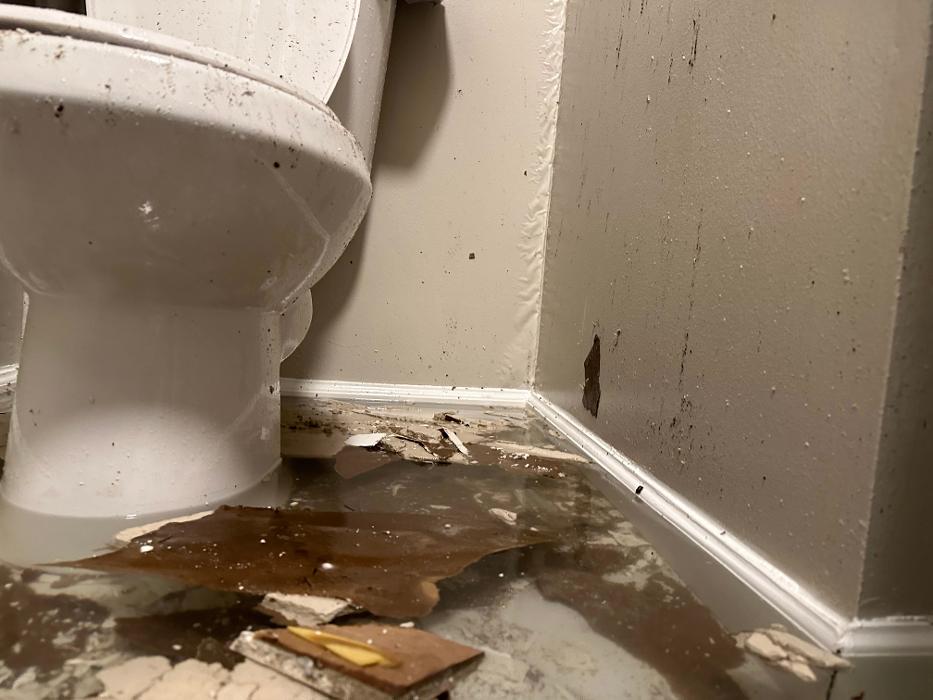 Lightspeed Restoration of Alexandria and Fairfax - Alexandria, VA