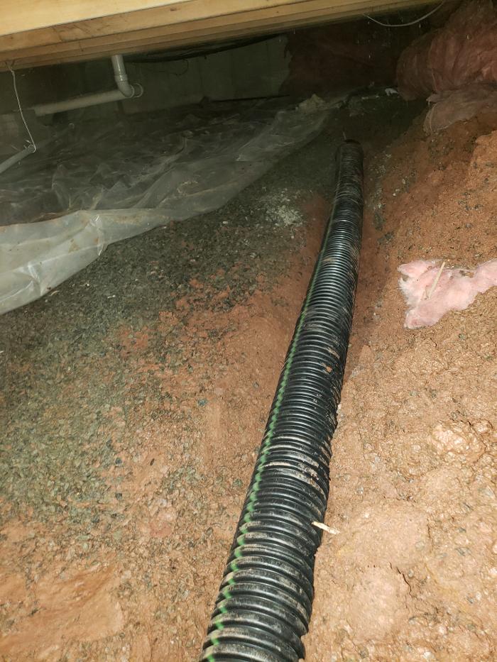 Lightspeed Restoration of Alexandria and Fairfax - Alexandria, VA