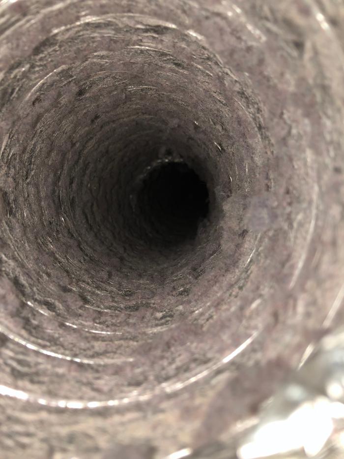 Lightspeed Restoration of Alexandria and Fairfax - Alexandria, VA