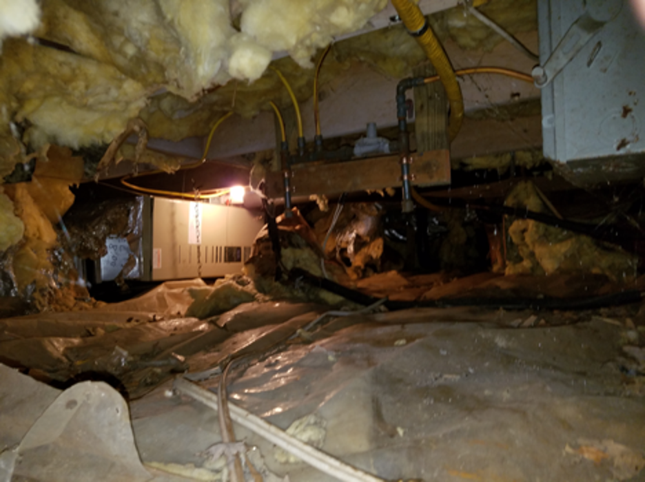 Lightspeed Restoration of Alexandria and Fairfax - Alexandria, VA