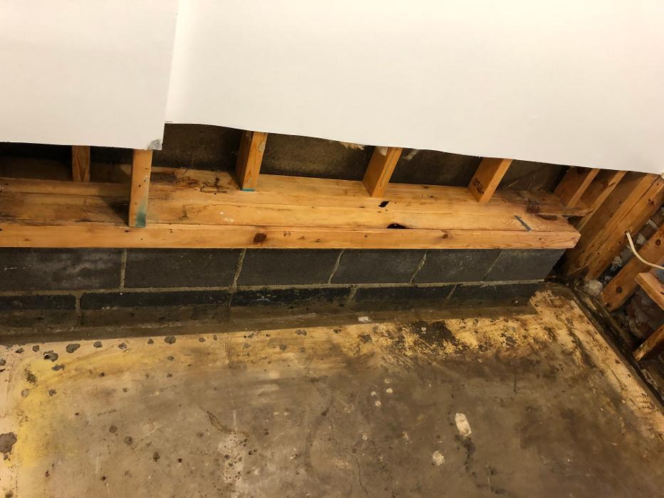 Lightspeed Restoration of Alexandria and Fairfax - Alexandria, VA