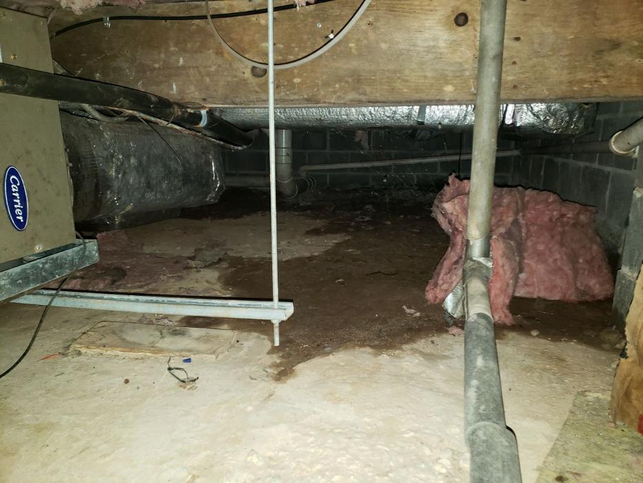 Lightspeed Restoration of Alexandria and Fairfax - Alexandria, VA