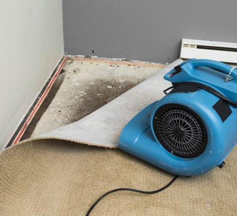 Lightspeed Restoration of Alexandria and Fairfax - Alexandria, VA