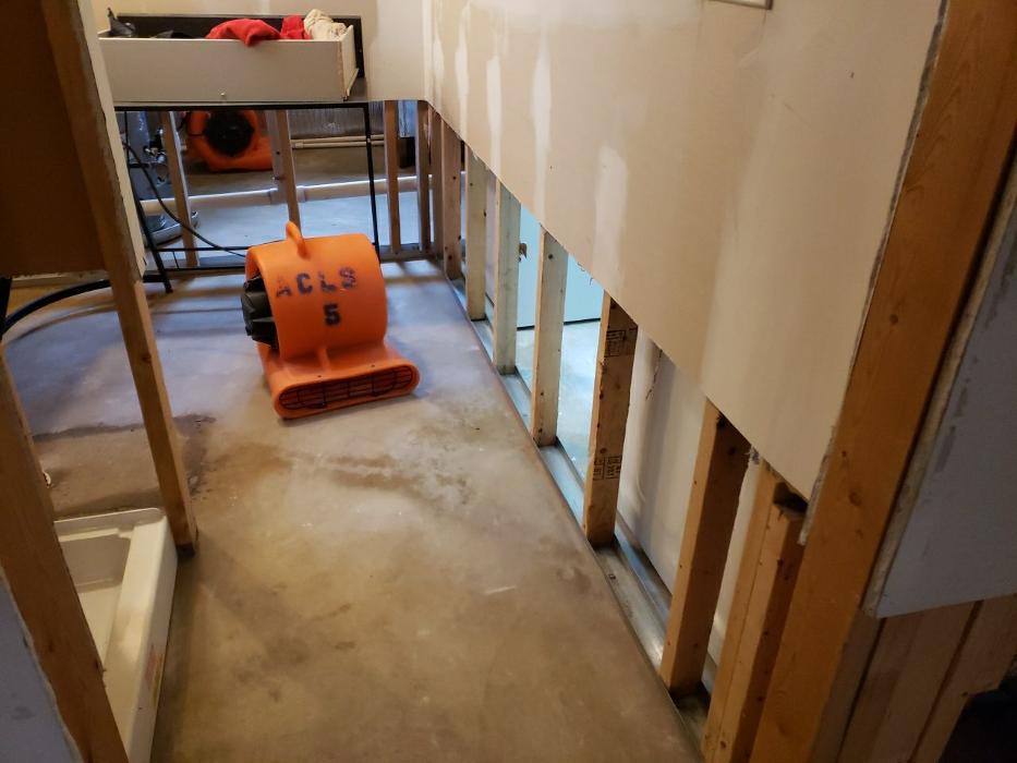 Lightspeed Restoration of Alexandria and Fairfax - Alexandria, VA