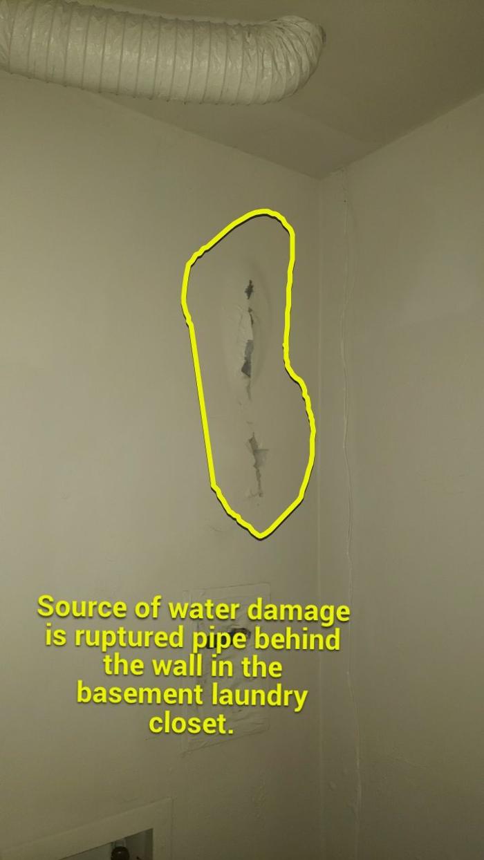 Lightspeed Restoration of Alexandria and Fairfax - Alexandria, VA