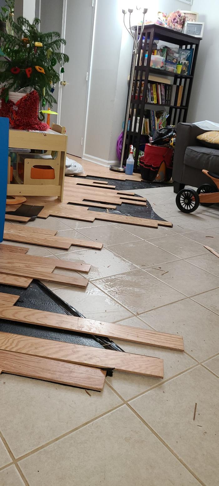 Lightspeed Restoration of Alexandria and Fairfax - Alexandria, VA