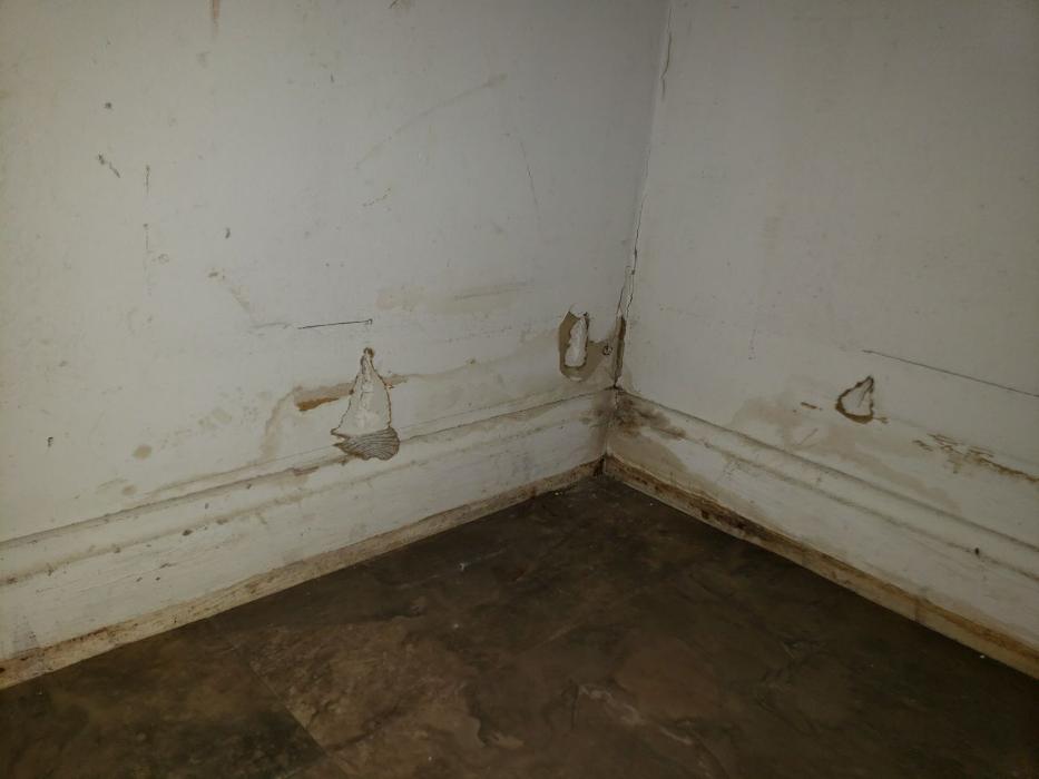 Lightspeed Restoration of Alexandria and Fairfax - Alexandria, VA