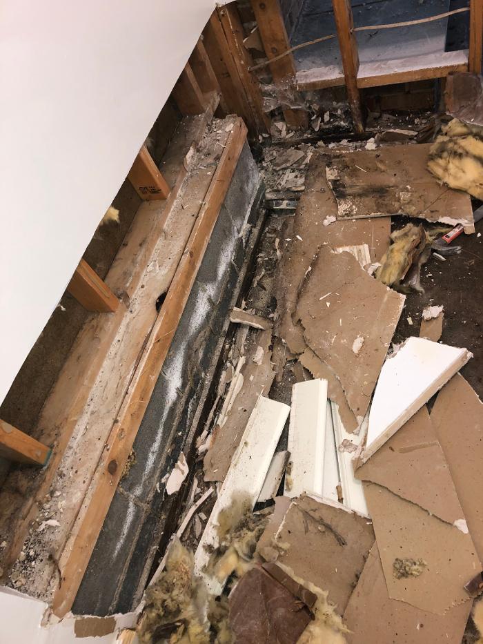 Lightspeed Restoration of Alexandria and Fairfax - Alexandria, VA