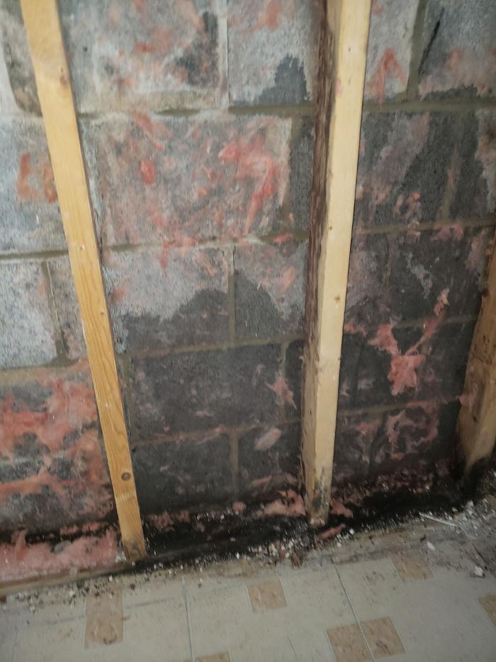 Lightspeed Restoration of Alexandria and Fairfax - Alexandria, VA