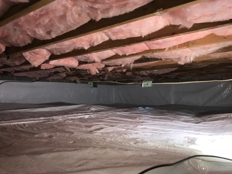 Lightspeed Restoration of Alexandria and Fairfax - Alexandria, VA