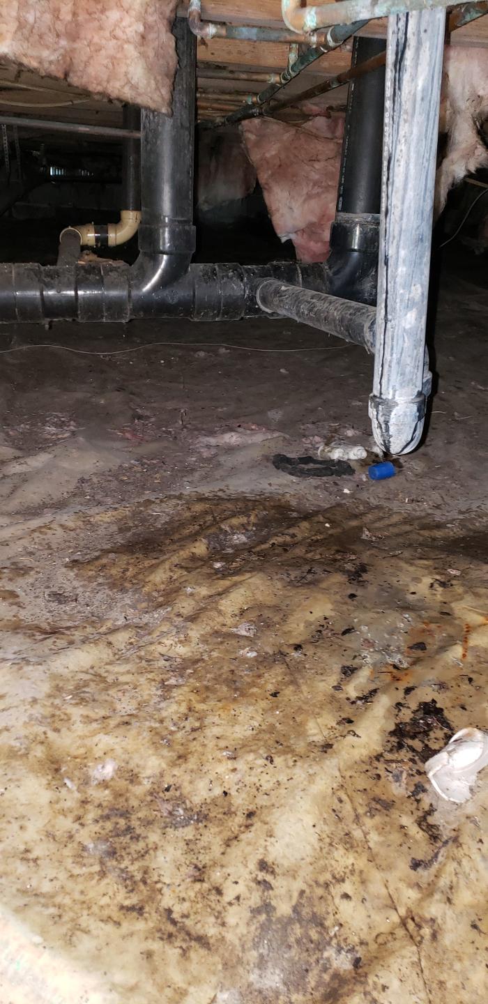 Lightspeed Restoration of Alexandria and Fairfax - Alexandria, VA