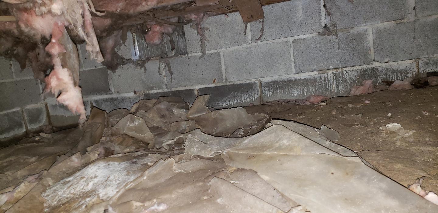 Lightspeed Restoration of Alexandria and Fairfax - Alexandria, VA