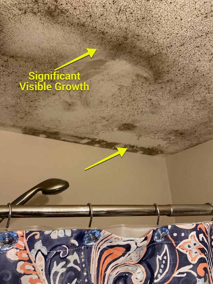 Lightspeed Restoration of Alexandria and Fairfax - Alexandria, VA