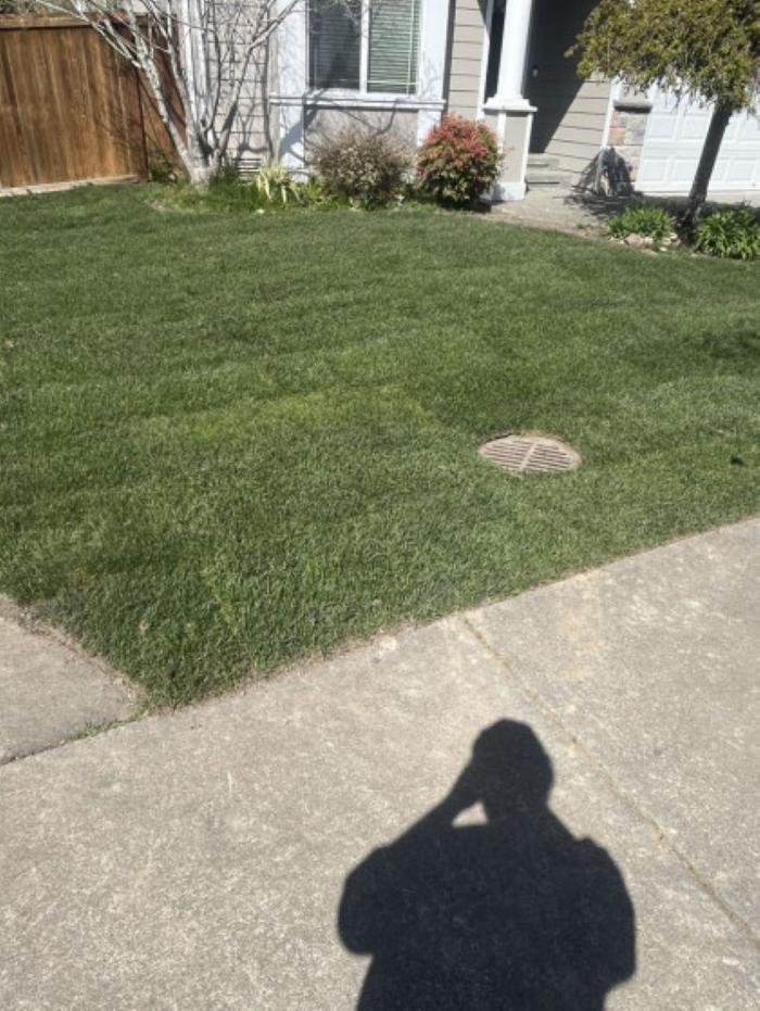 Greener Side Landscaping - Marysville, WA