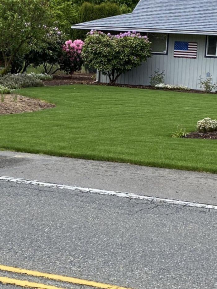 Greener Side Landscaping - Marysville, WA