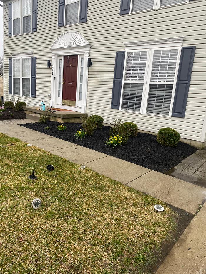 Blue Dragon Home Repair - Harrison, NJ