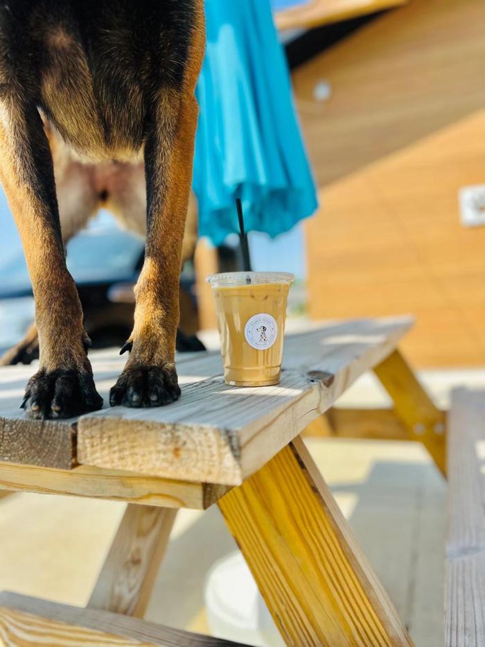 Barkin' Beans Coffee Co. - Silvis, IL