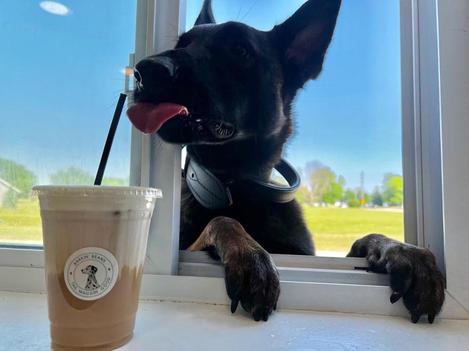 Barkin' Beans Coffee Co. - Silvis, IL