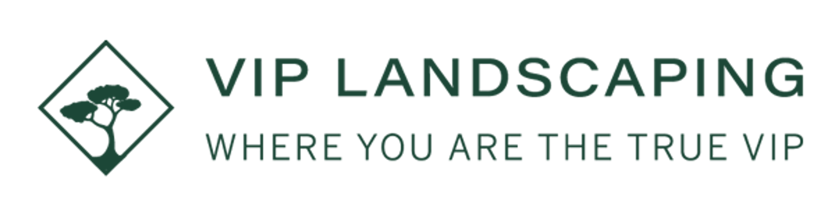 VIP Landscaping - Bryn Mawr, PA