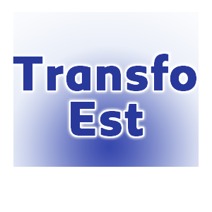 Transfo-Est Fabrication et commerce de gros