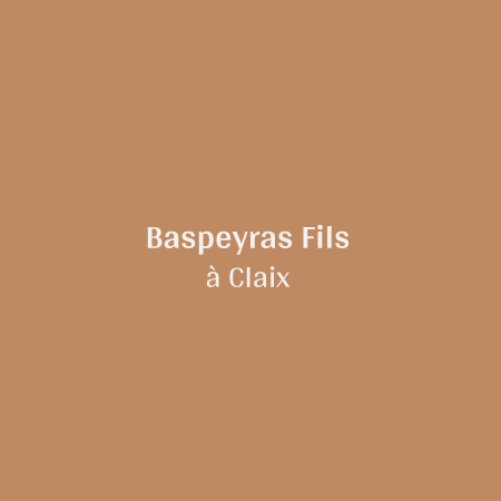 Baspeyras Fils SARL organisation internationale