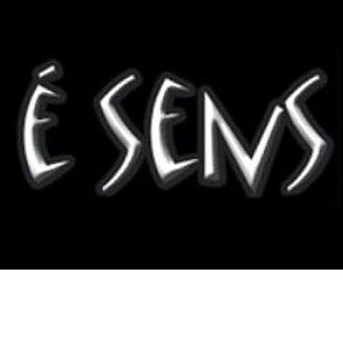 Institut E Sens