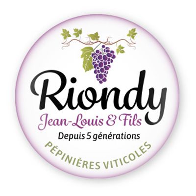 Riondy Jean Louis & Fils
