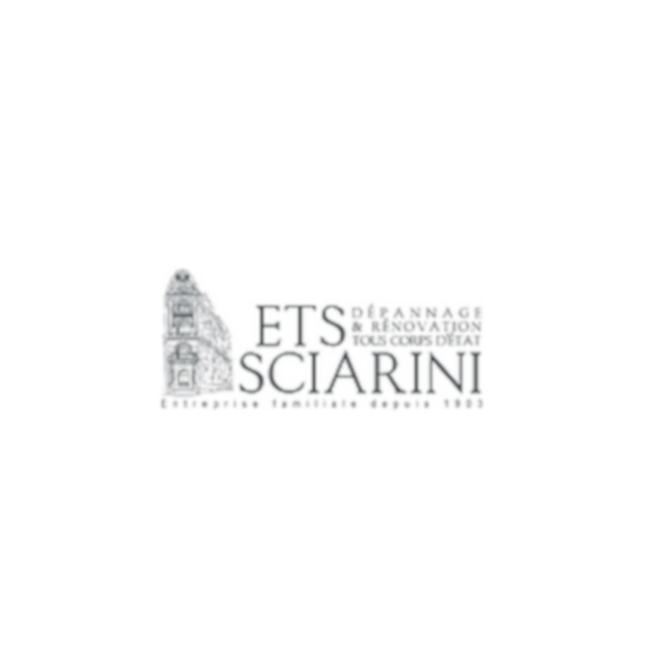 Etablissements Sciarini électricité (production, distribution, fournitures)