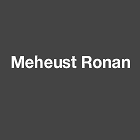 Meheust Ronan Expert