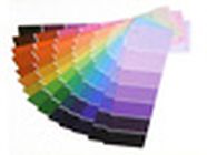 Gastineau Sylvain peinture et vernis (détail)