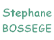Bossege Stéphane Expert