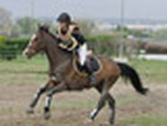 Eperon L' stade et complexe sportif