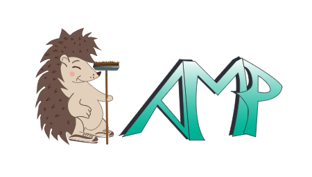 Automatic Machine Performance AMP vidange et curage