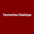 Fourmestraux Dominique Expert