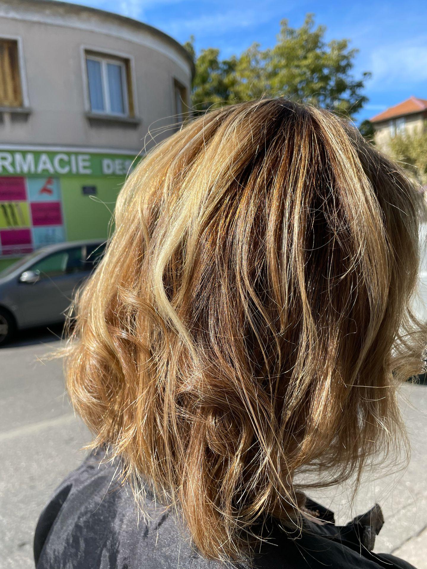 galerie image