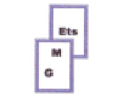 Entreprise Général De Maçonnerie Expert