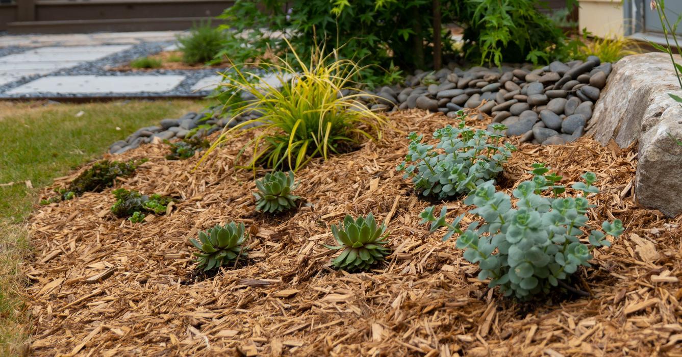 Walt's Landscaping & Lighting - Fayetteville, GA