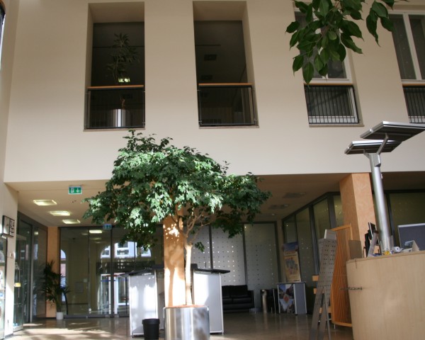 Galerie-Thumbnail