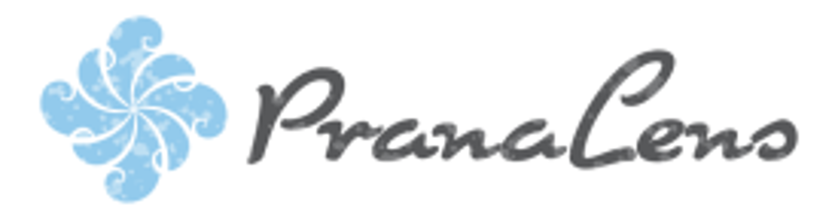Pranalens LLC - Minneapolis, MN
