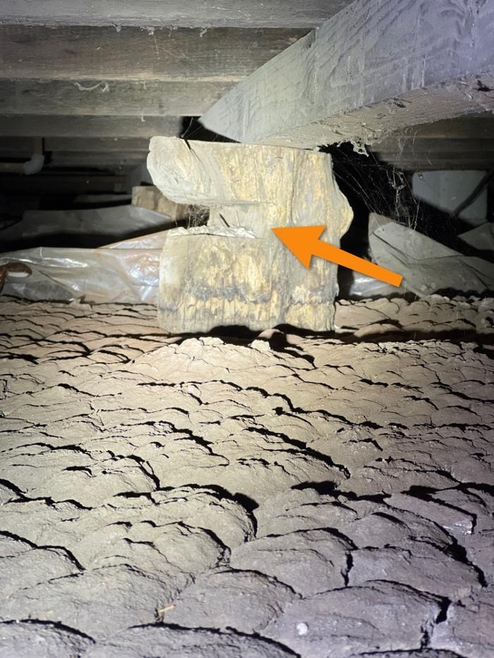 Level Up Pest Control - Royse City, TX