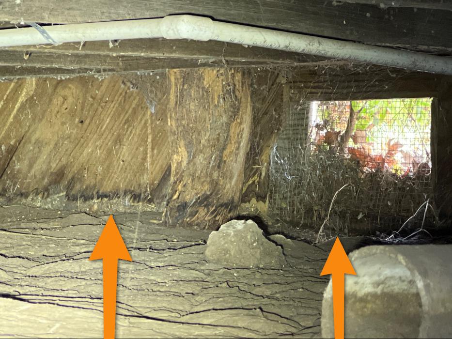 Level Up Pest Control - Royse City, TX