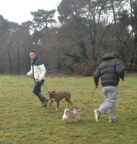 galerie image galerie image